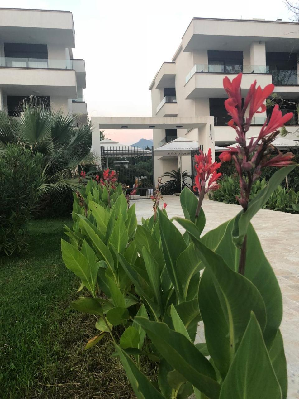 Apartments Kuce Lekovica Beach & Snack Bar- Bistro Exteriör bild