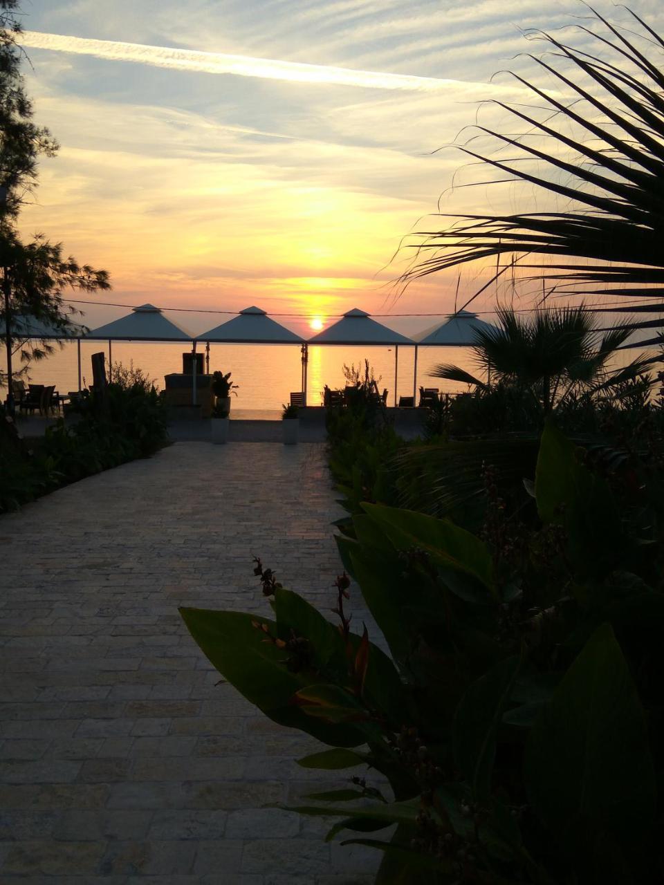 Apartments Kuce Lekovica Beach & Snack Bar- Bistro Exteriör bild